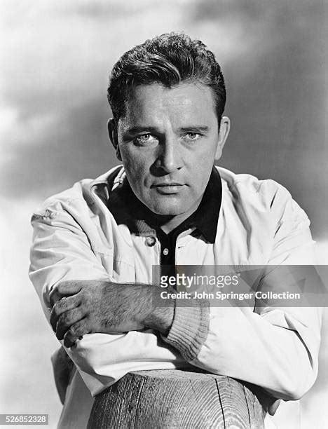 richard burton naked|6,330 Richard Burton Photos & High Res Pictures